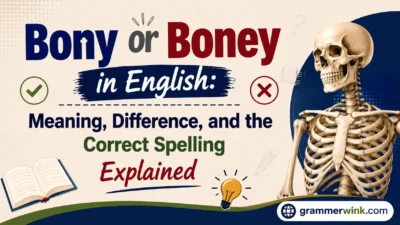 Bony or Boney in English: Meaning, Difference, and the Correct Spelling Explained