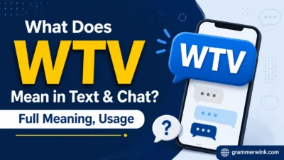 What Does WTV Mean in Text & Chat? Full Meaning, Usage